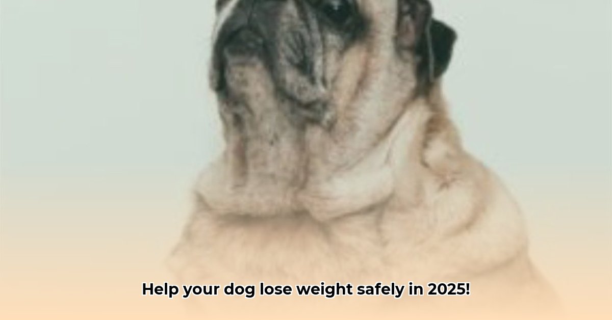dog-weight-loss-supplement